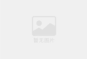 陆丰个人新能源轿车出售